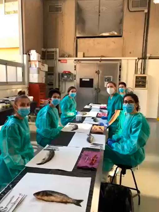 Equipo de investigación Equipo de investigación